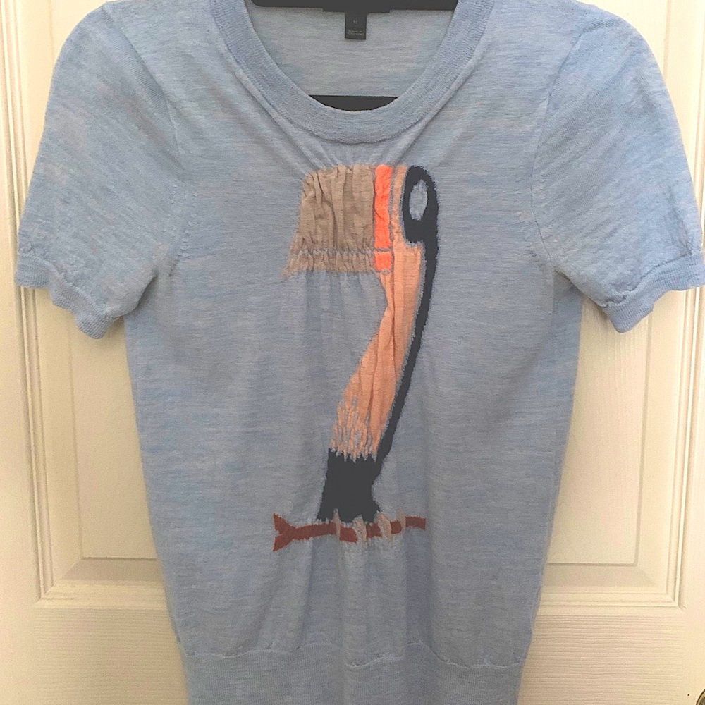 JCrew Merino Wool Sweater Tee